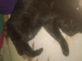 WP_20150702_001.jpg